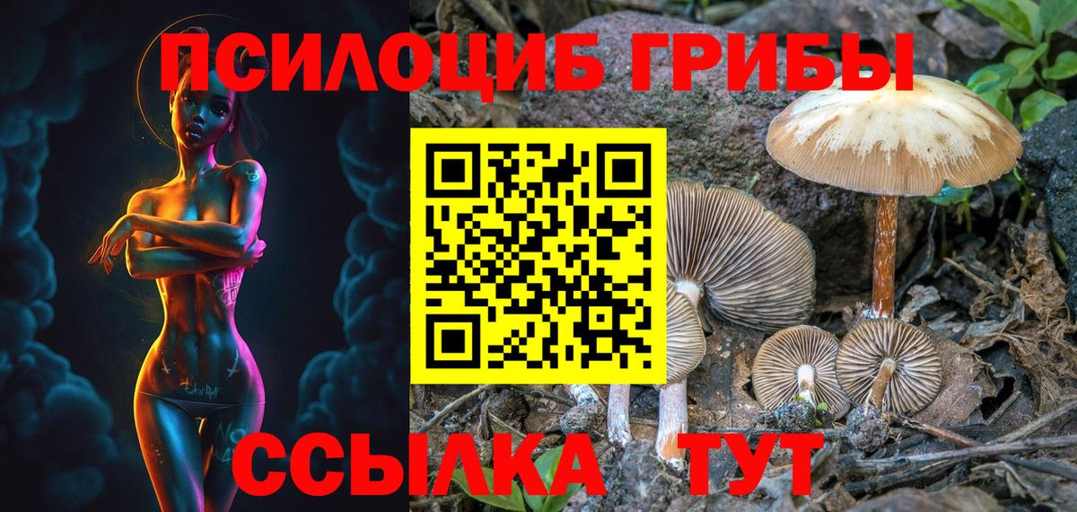 Псилоцибиновые грибы прущие грибы  Псилоцибиновые грибы Psilocybe  Вход с VPN  Краснокаменск 